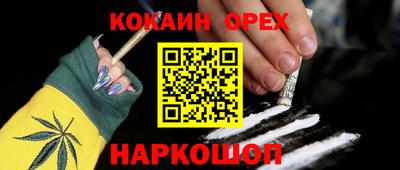 гашик Сланцы
