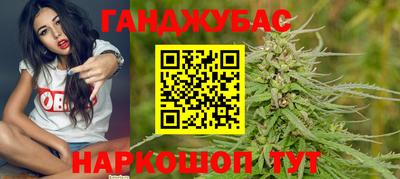 гашик Сланцы