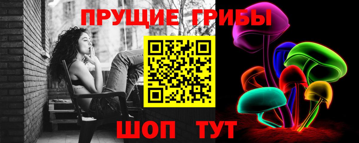 Галлюциногенные грибы Psilocybe Вольск