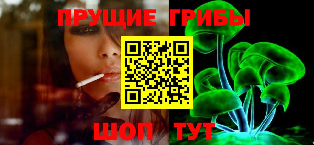Галлюциногенные грибы прущие грибы  Вход с VPN  Вольск 